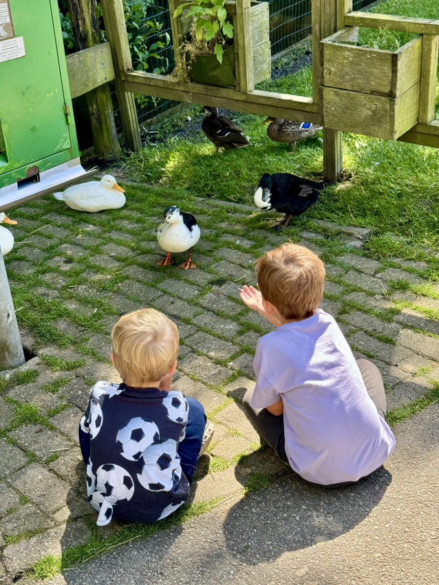 Amsterdamse Bos farm