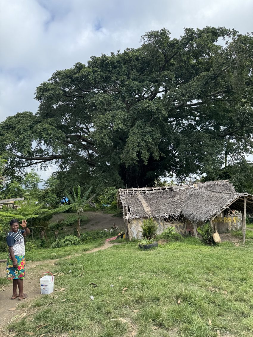 Villages of Tanna Island, Vanuatu