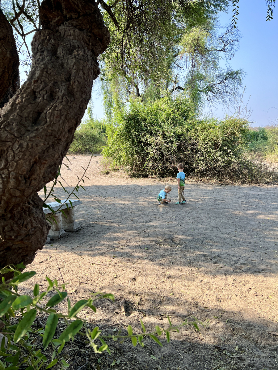 Children playing in the bush on a safari in Botswana