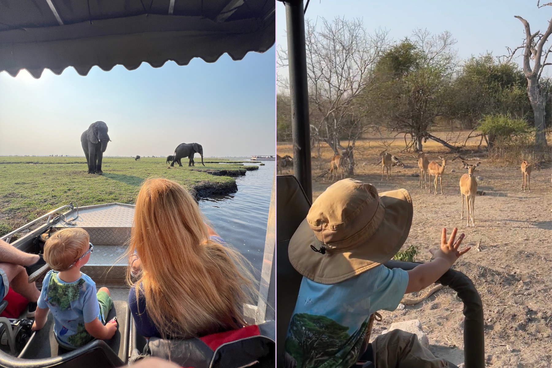 The Perfect Itinerary for African Safari with Little Kids