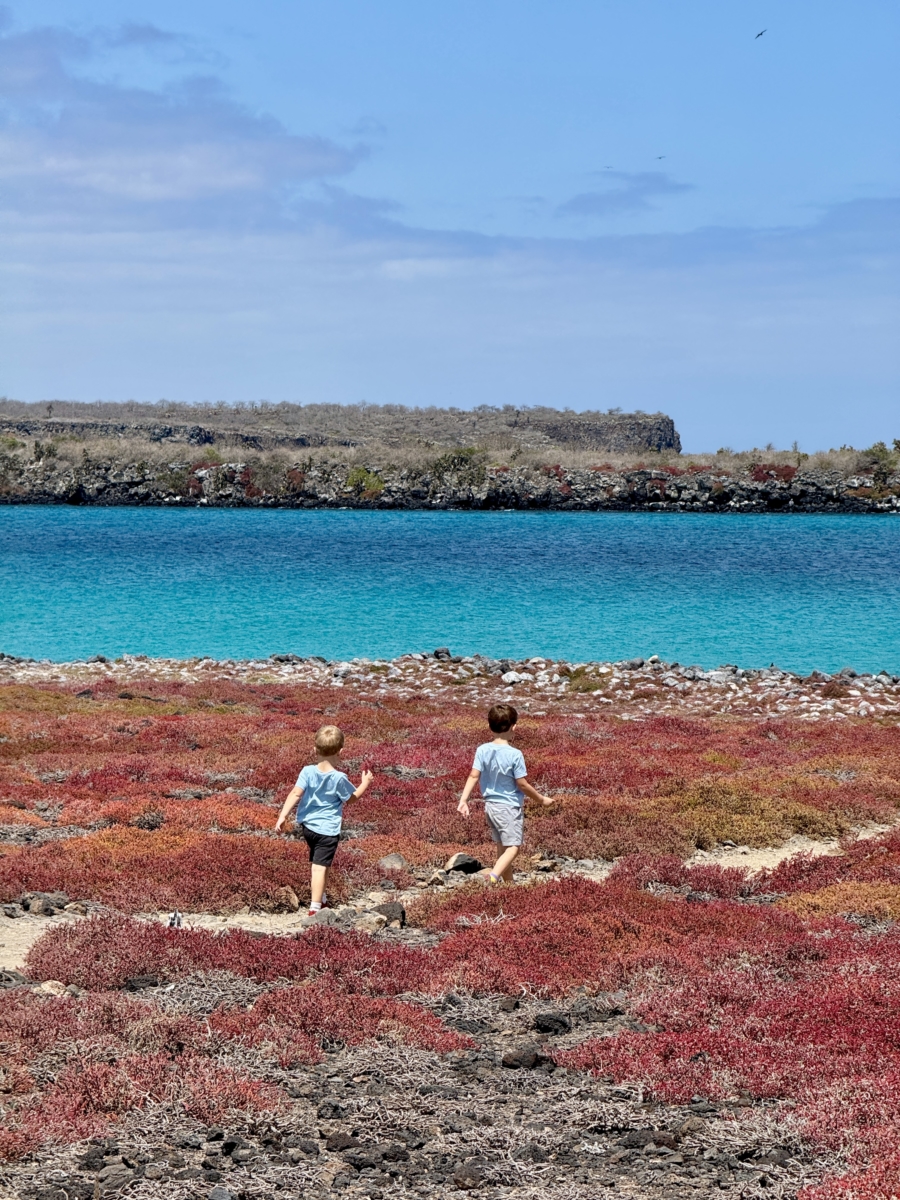 Isla Plazas sur day trip