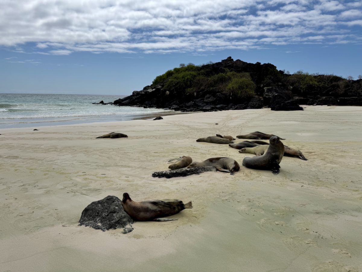 puerto chino san cristobal galapagos