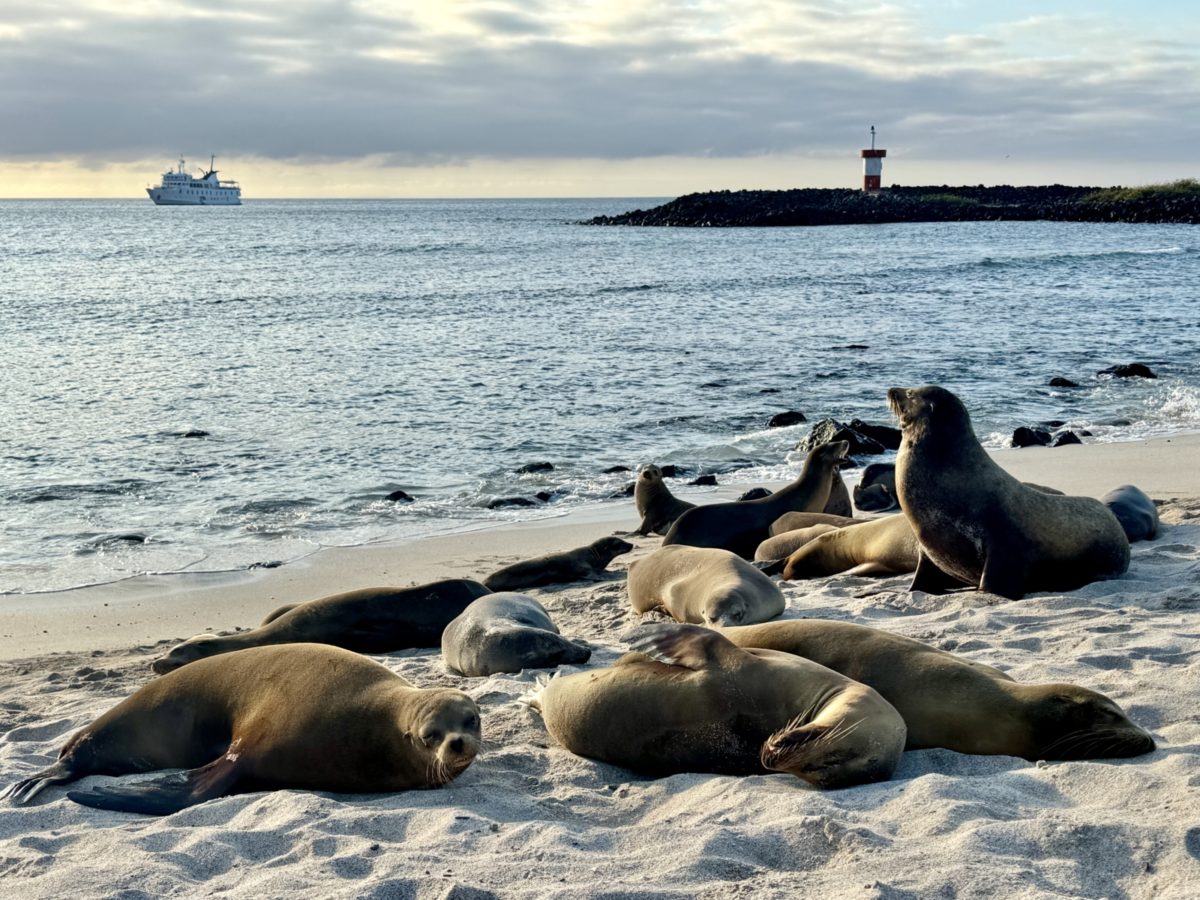 cost of Galapagos trip