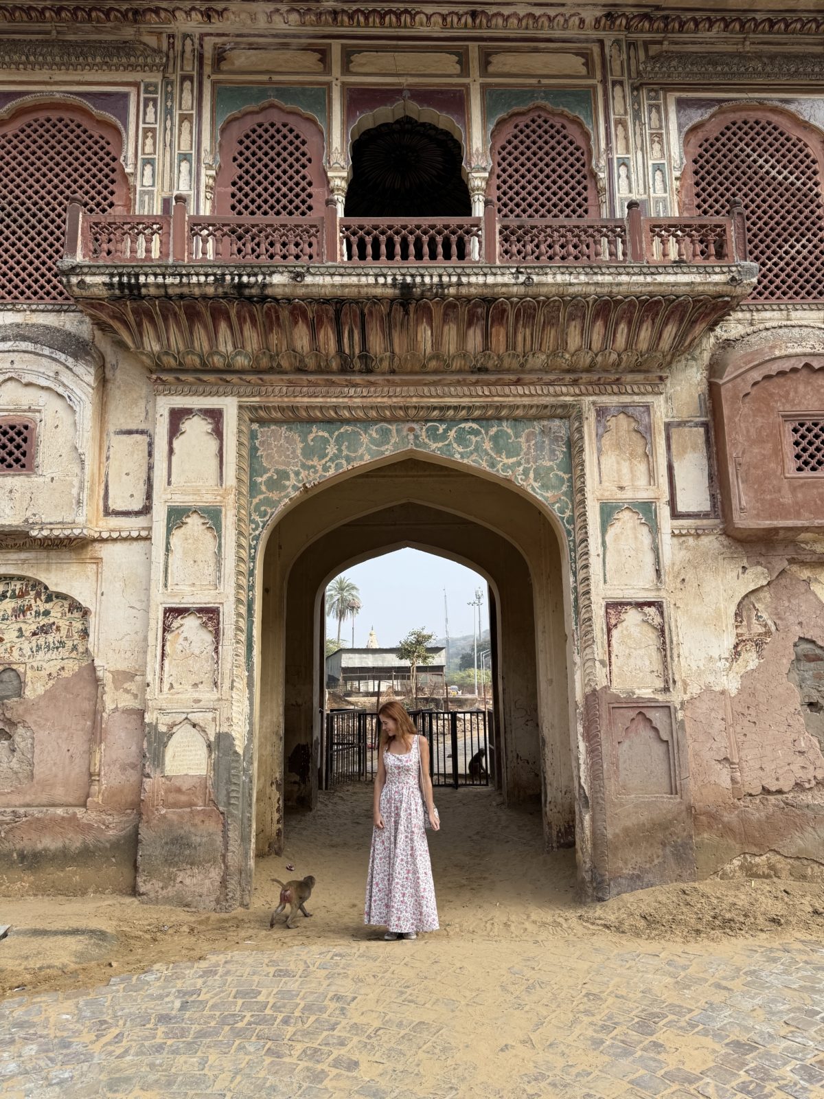 Monkey temple in Jaipur