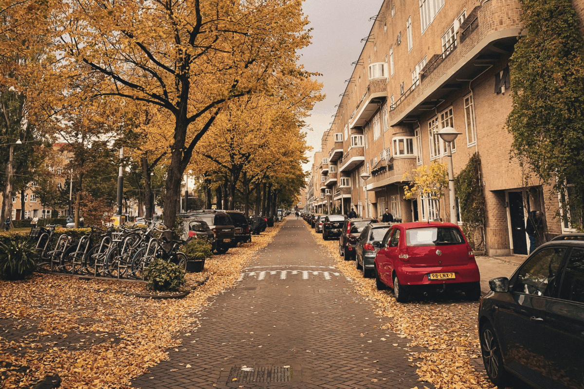 Is it Worth it For a Family Trip? Is it Worth it For a Family Trip?